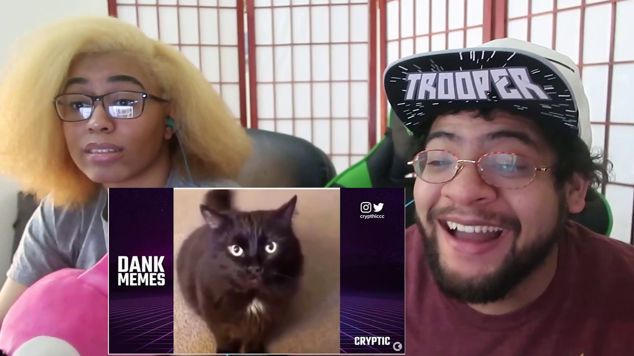 ПОДБОРКА МЕМОВ С SKITTEN ОТ CRYPTIC!