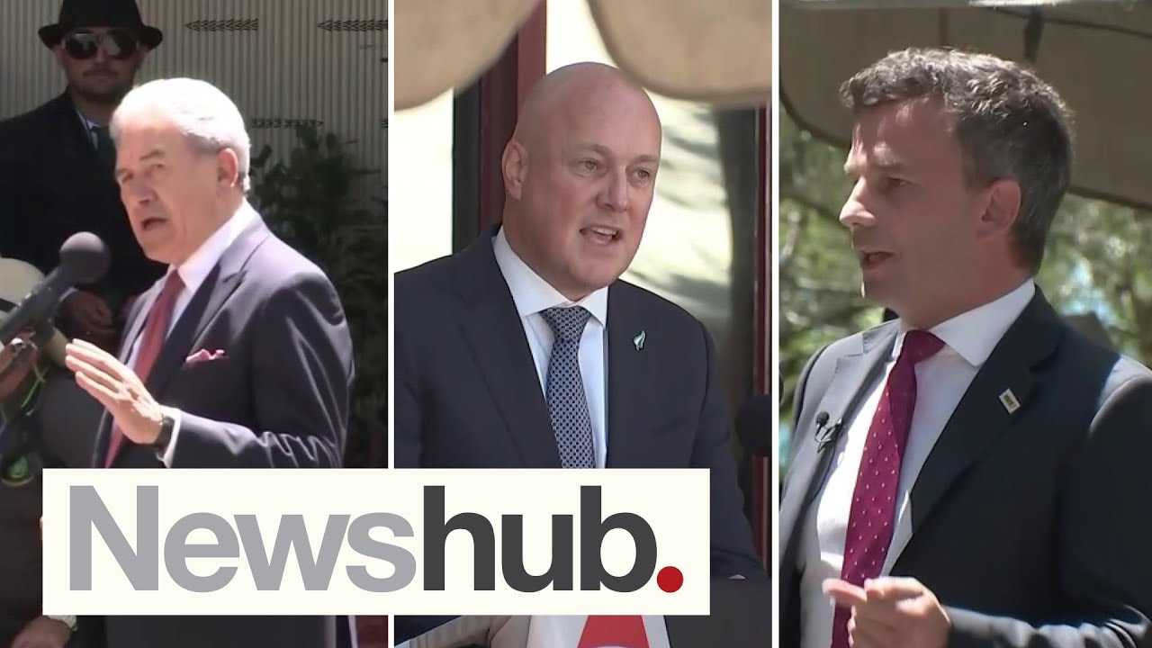 Protests, politicians clash at Waitangi as tensions rise over Treaty Principles Bill | Newshub