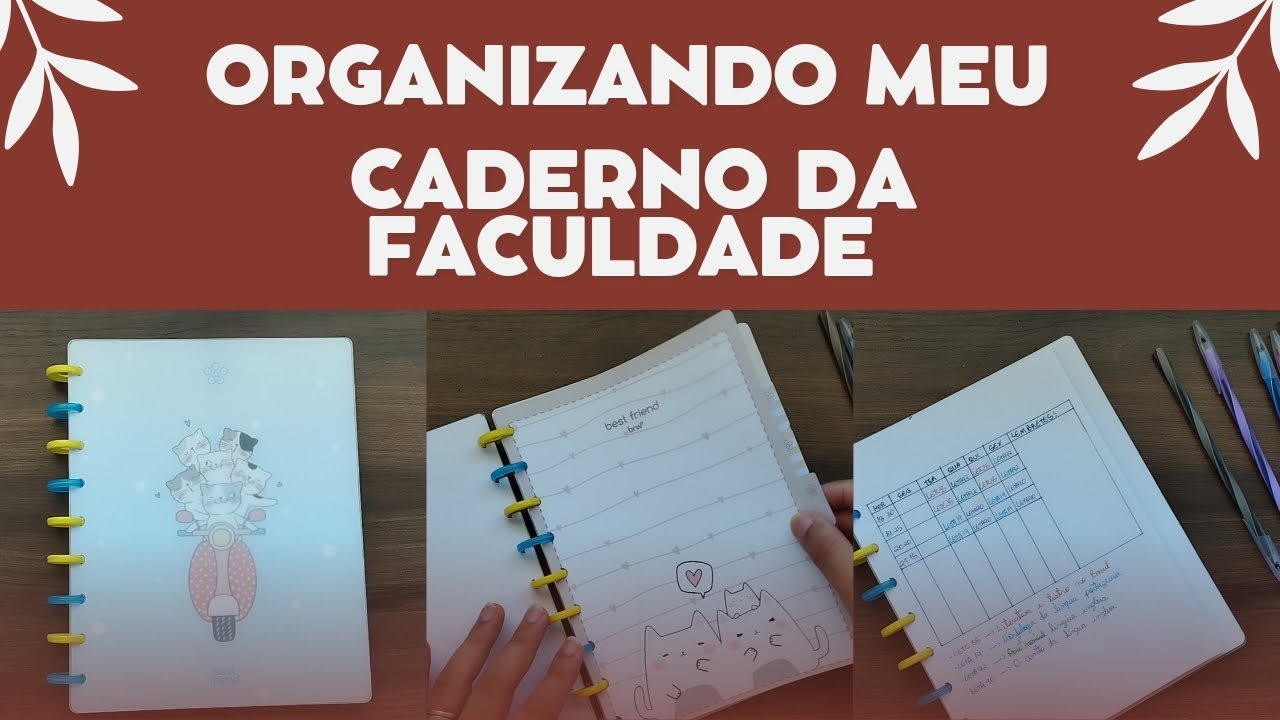 Organizando meu caderno da faculdade em ASMR