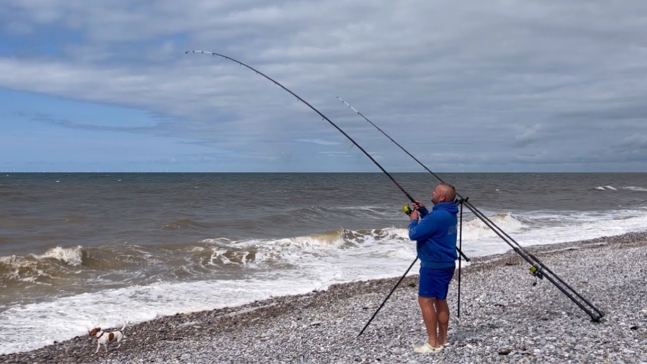 Is There a BASS in The SURF?