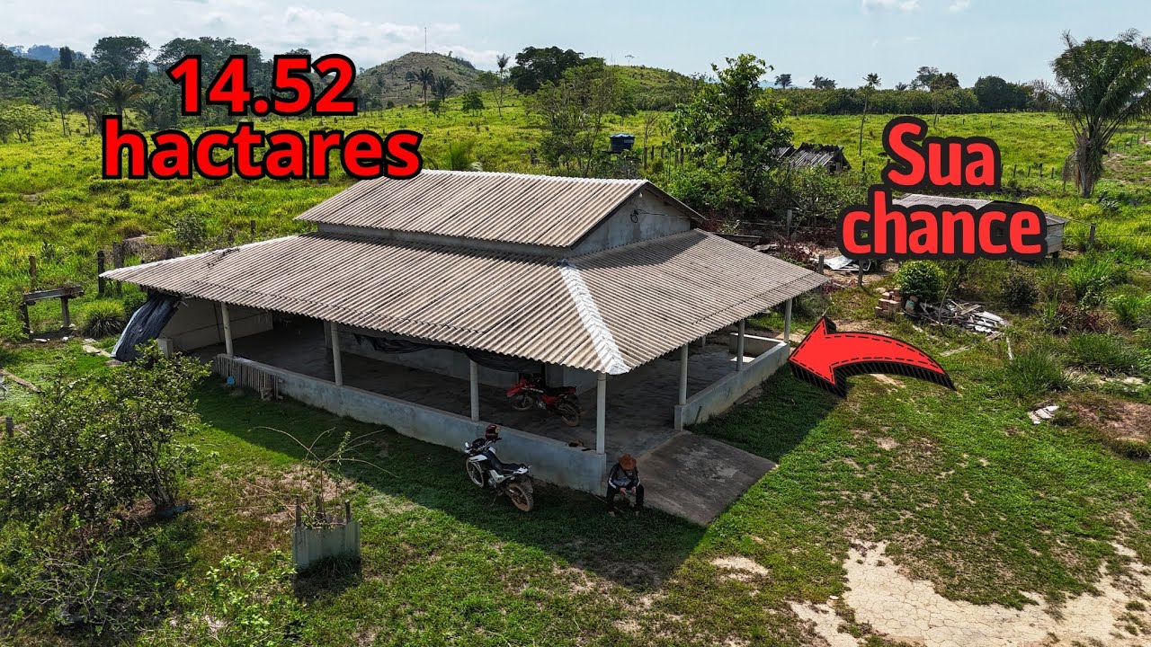 Na beira da estrada! Chácara de 3 alqueires.  14.52 hactares em São Félix do xingu Pará 