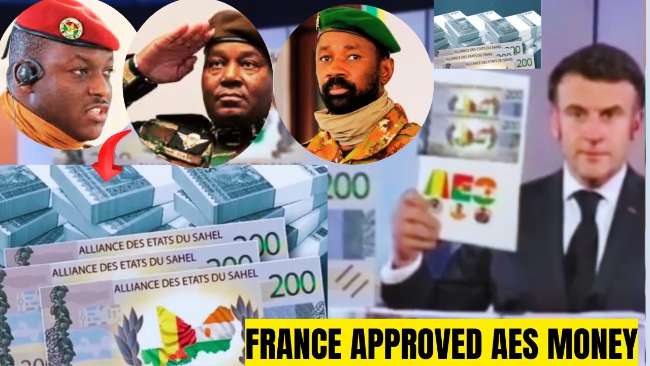 France&rsquo;s Approved AES NEW Currency: End of CFA Franc?  West Africa&rsquo;s Economic Future Explained