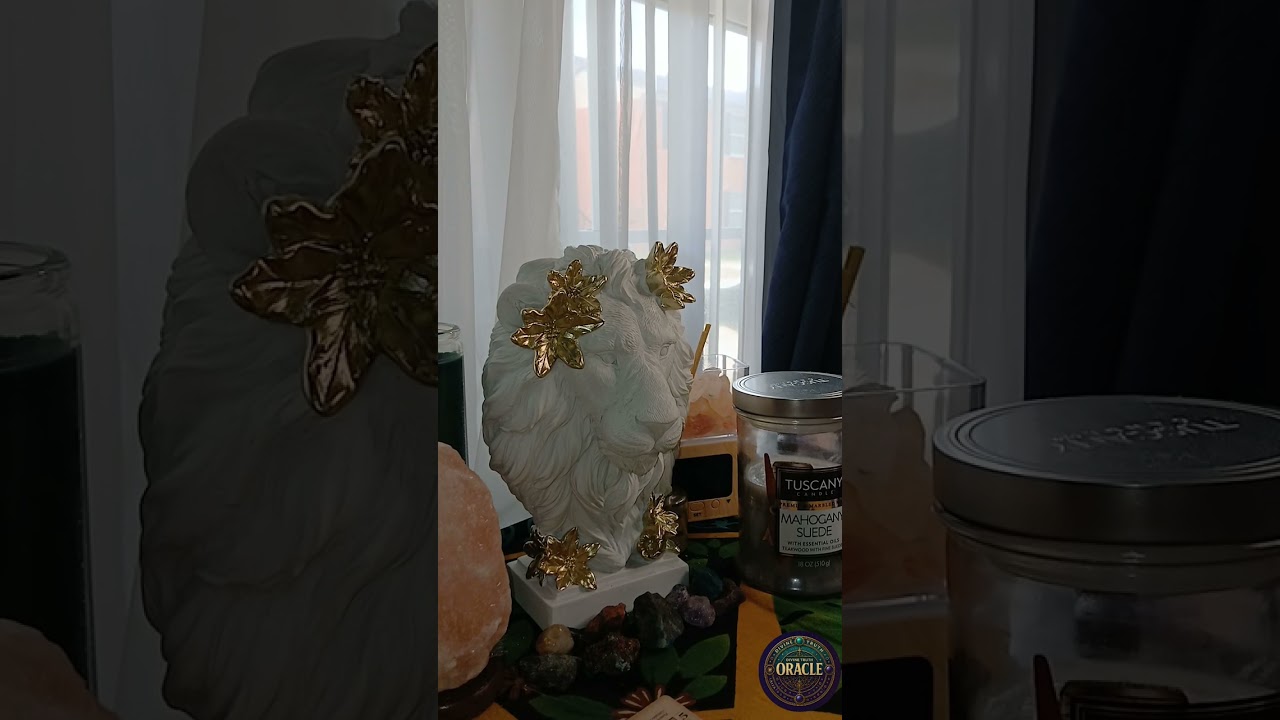 Они думали, что третья сторона похожа на тебя, но теперь они на собственном горьком опыте понимаю...