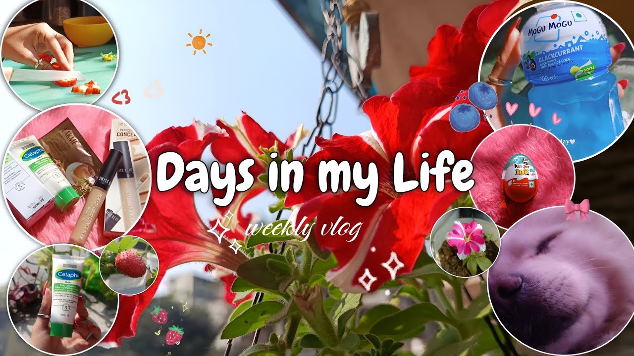 Days in my Life🪿||Aesthetic vlog🌷|| Weekly vlog💌||Life in India♡|||