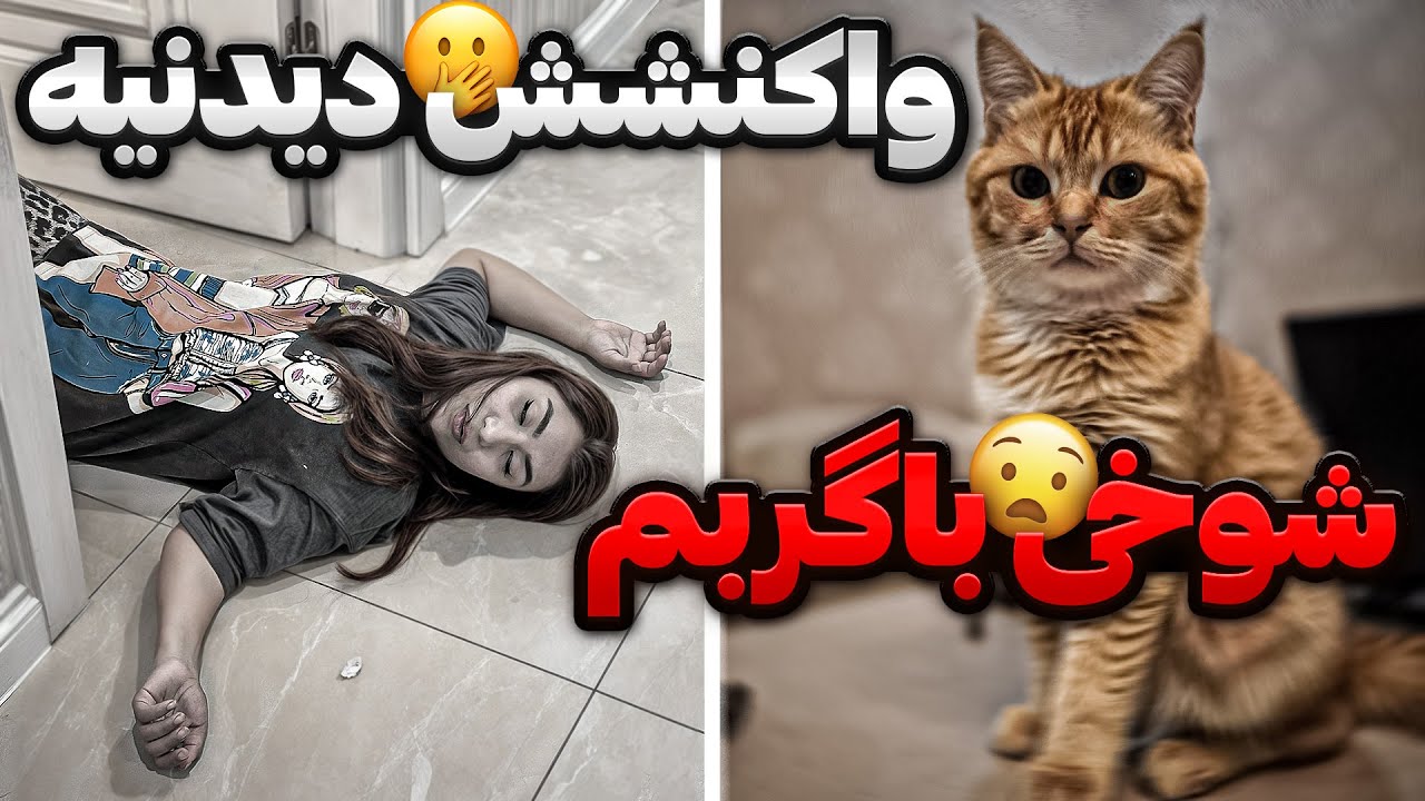 بدترین شوخی ها با گربمون😈آخرش قهر کرد😿