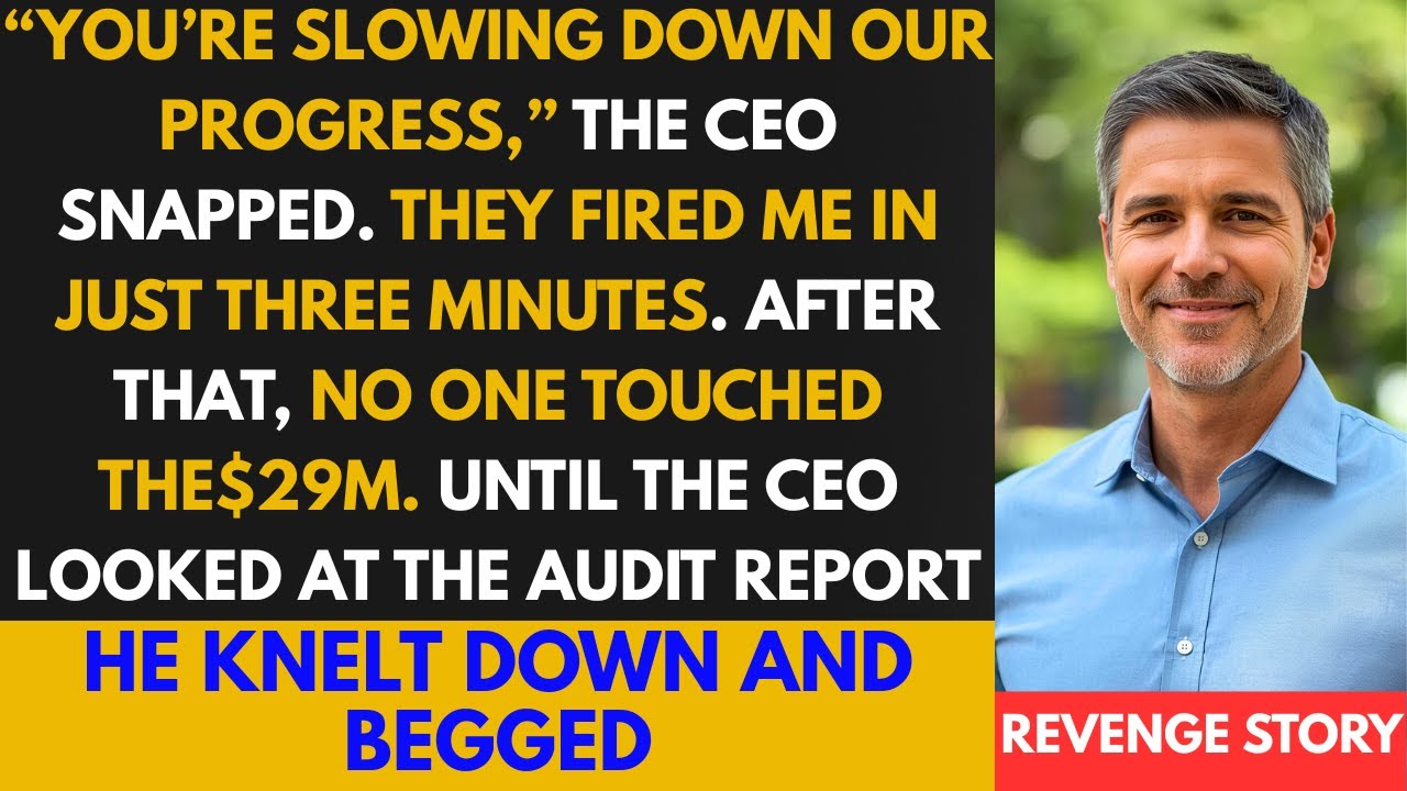 Boss Fired Me for “Incompetence.” He Never Asked Who Controlled $29M | Office revenge