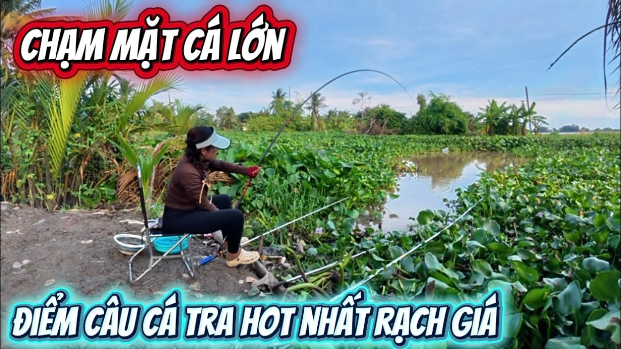 Kh&ocirc;ng thể n&agrave;o tin nỗi Oanh lại c&acirc;u được con c&aacute; lớn đến như vậy v&agrave; ẩm thực m&oacute;n ăn ngon Oanh vlog