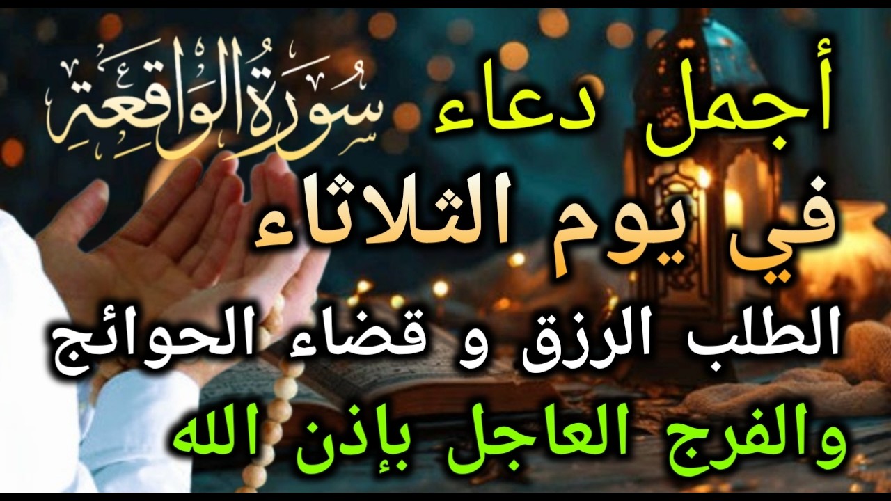 قراءة مؤثرة! دورة واحدة قد تجلب لك الثروة