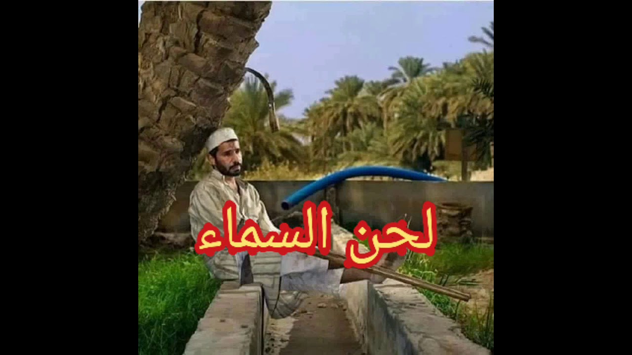 علي الحياوي