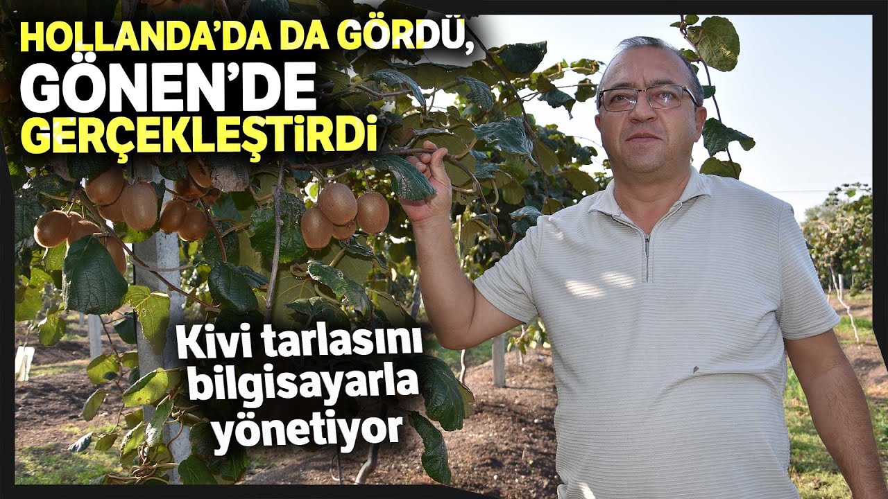 Banka Sektörünü Bıraktı Kivi Yetiştiriciliğine Başladı