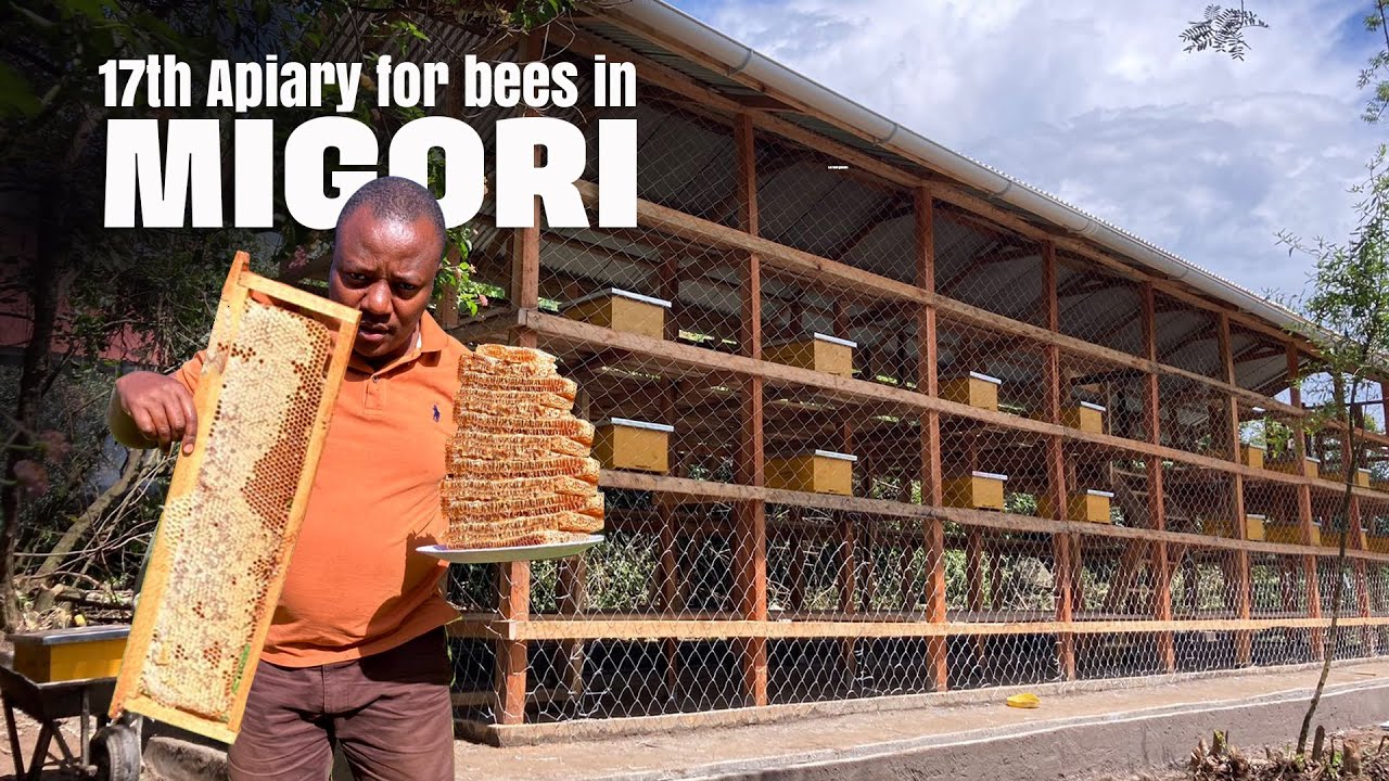 Bee-yond Borders: Kenya's Impact on Global Beekeeping