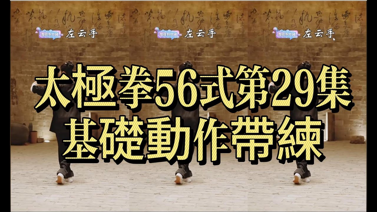 太極拳56式｜第29集｜基礎動作帶練｜強化穩定與連貫#太極拳56式 #第29集 #基礎動作 #帶練 #太極拳教學 #太極拳入門 #基本功 #養生太極