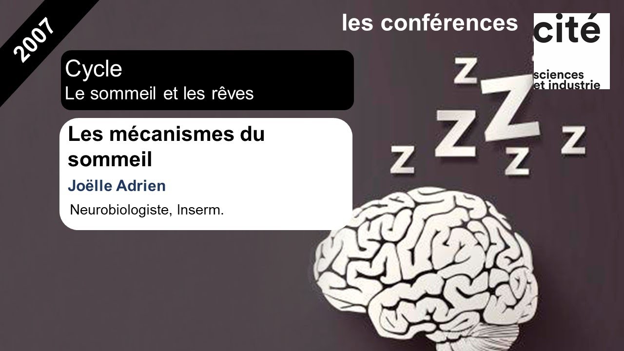 Les mécanismes du sommeil