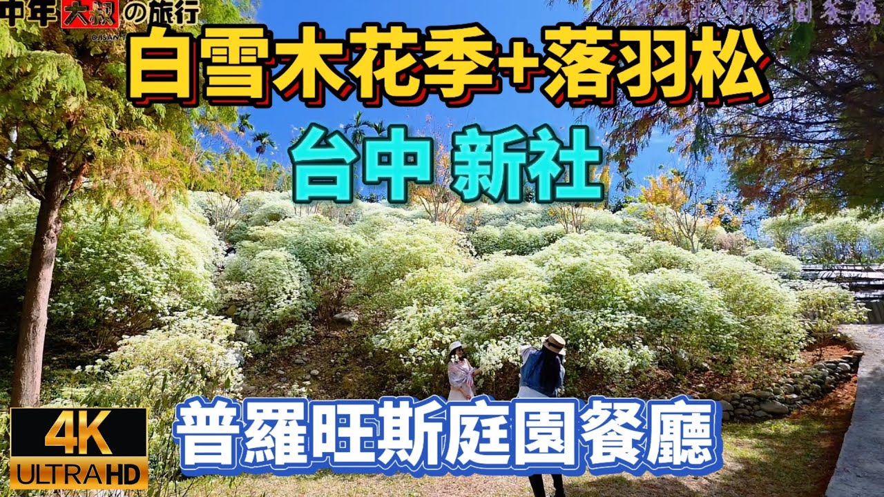 普羅旺斯庭園餐廳»台中新社»一個人的重機旅行»Moto Travel»2025年12月14日 