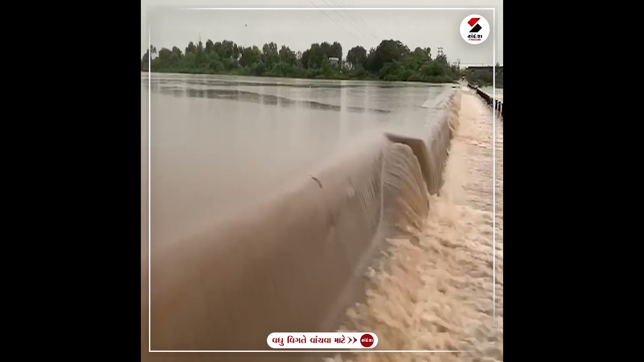 Monsoon in Gujarat: ગોંડલનો આશાપુરા ડેમ ઓવરફ્લો | Rain Forecast | Monsoon 2023
