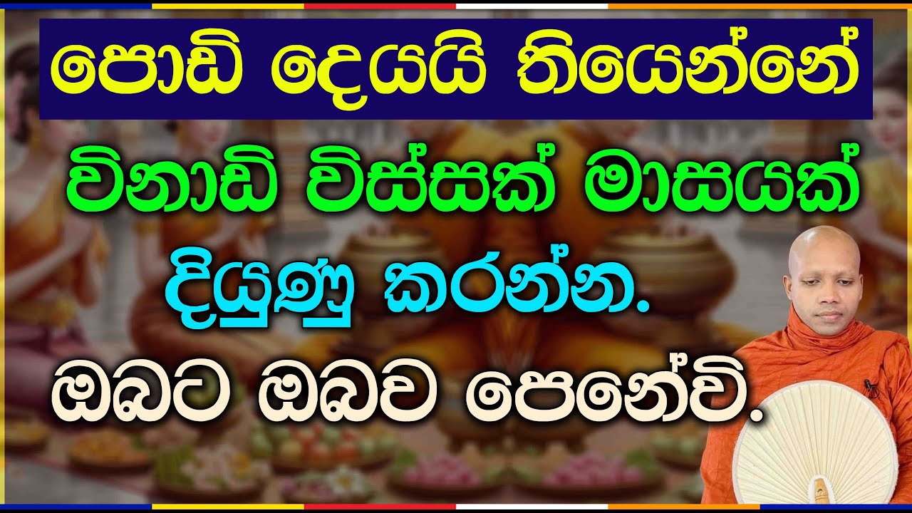 විනාඩි විස්සක් මාසයක් දියුණු කරන්න. ඔබට ඔබව පෙනේවි.2847Ven Hasalaka Seelawimala Thero