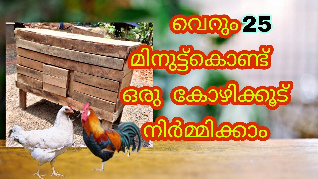 Chicken  Cage -coop  making wood  in 25 minutes