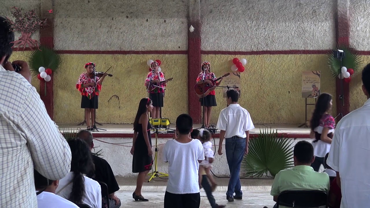 EL PERDIGUERO Trio mariposas huastecas - Tenek lem en Valle Verde
