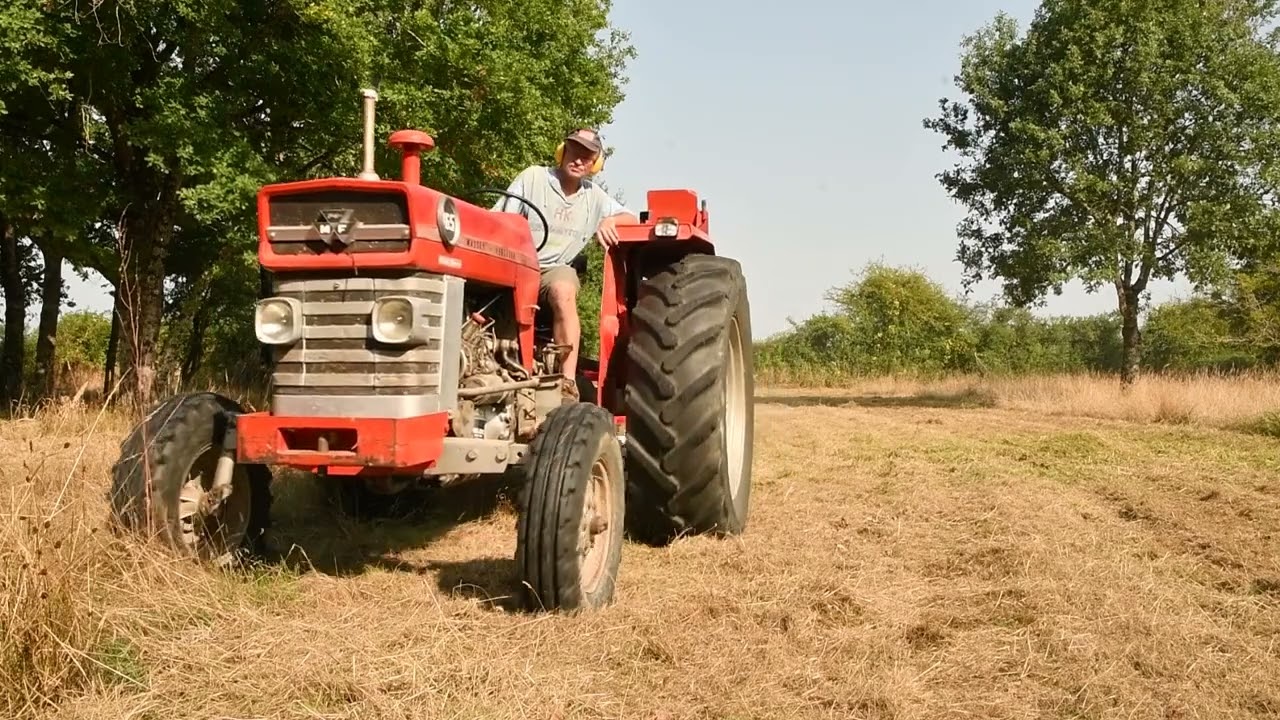 Entretien des prairies. Massey Ferguson 165 et broyeur Giemme...