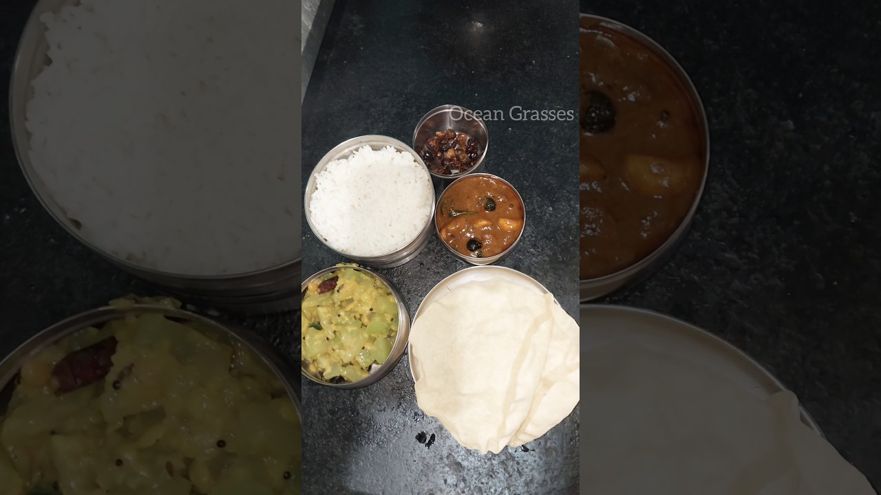Lunchbox Minivlog-42 Vathakuzhambu Sutta Appalam Chowchow Kootu #shorts #food  #lunchboxvlog