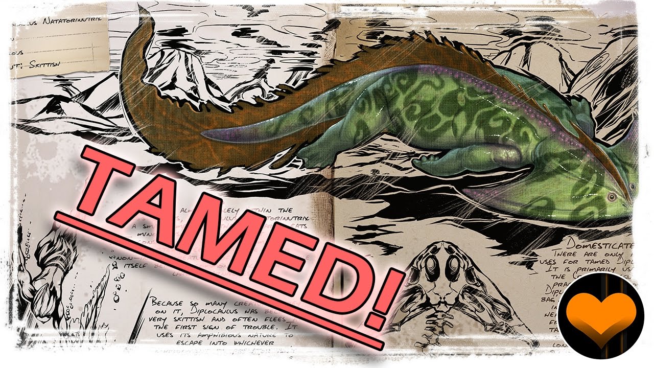 DIPLOCAULUS TAME - ARK: Survival Evolved