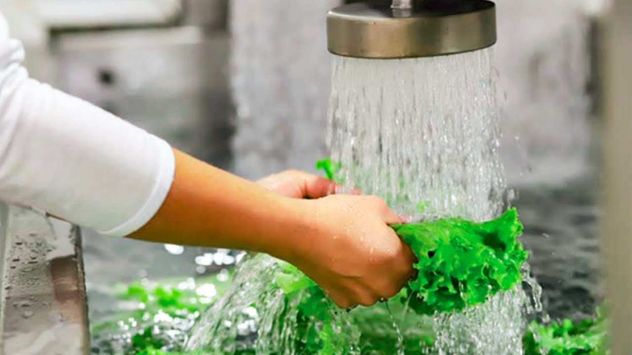 HORTALIÇAS MINIMAMENTE PROCESSADAS  | #hidroponia #hortaliças #hidroponik