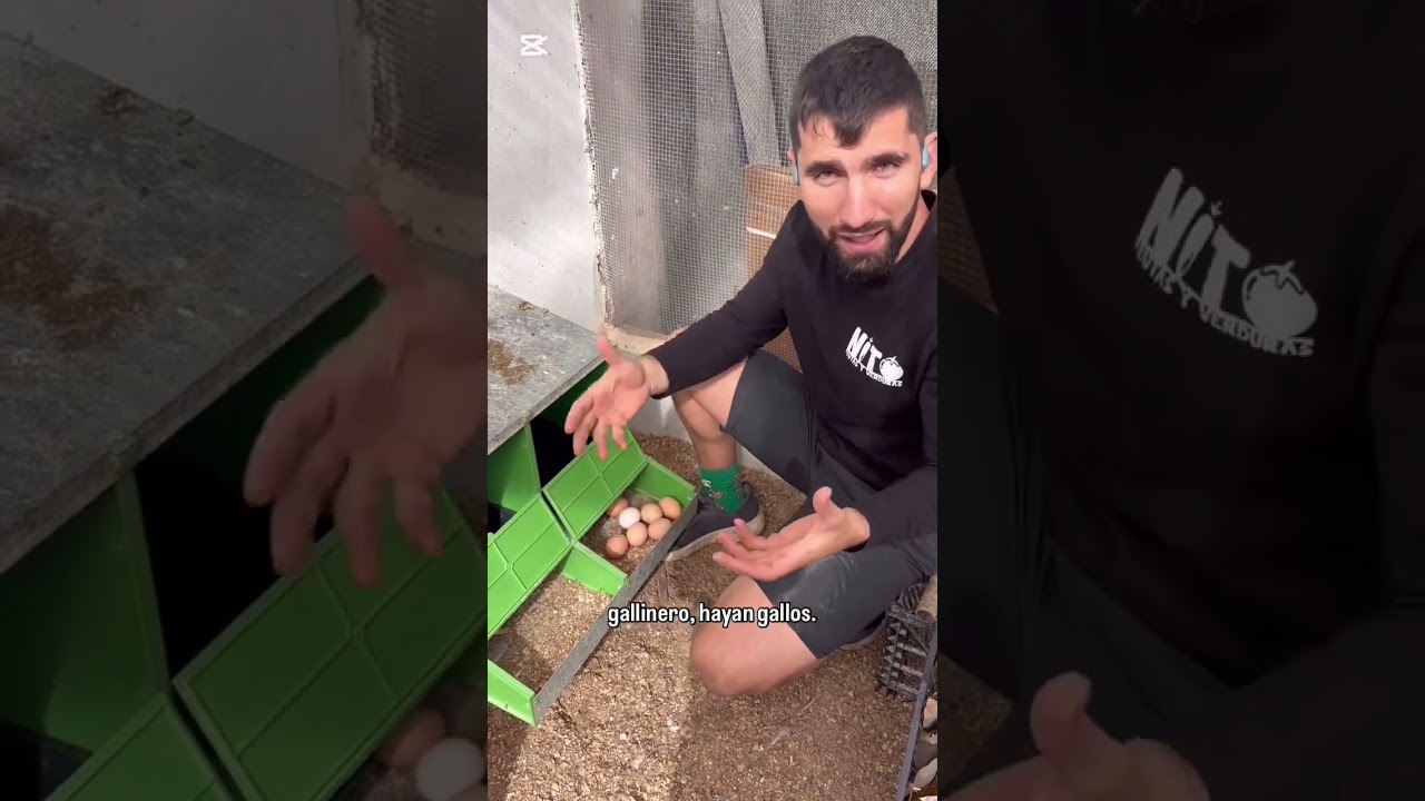 Buenas tardes ❤️🧑‍🌾 Hoy ha tocado ir huerta por huerta revisando que todo estuviese bien. 