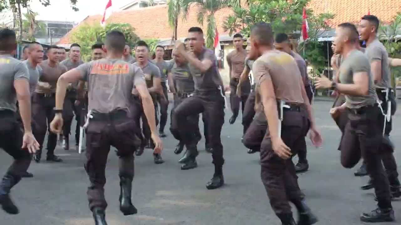 Yell Taruna Akademi Kepolisian Den 55