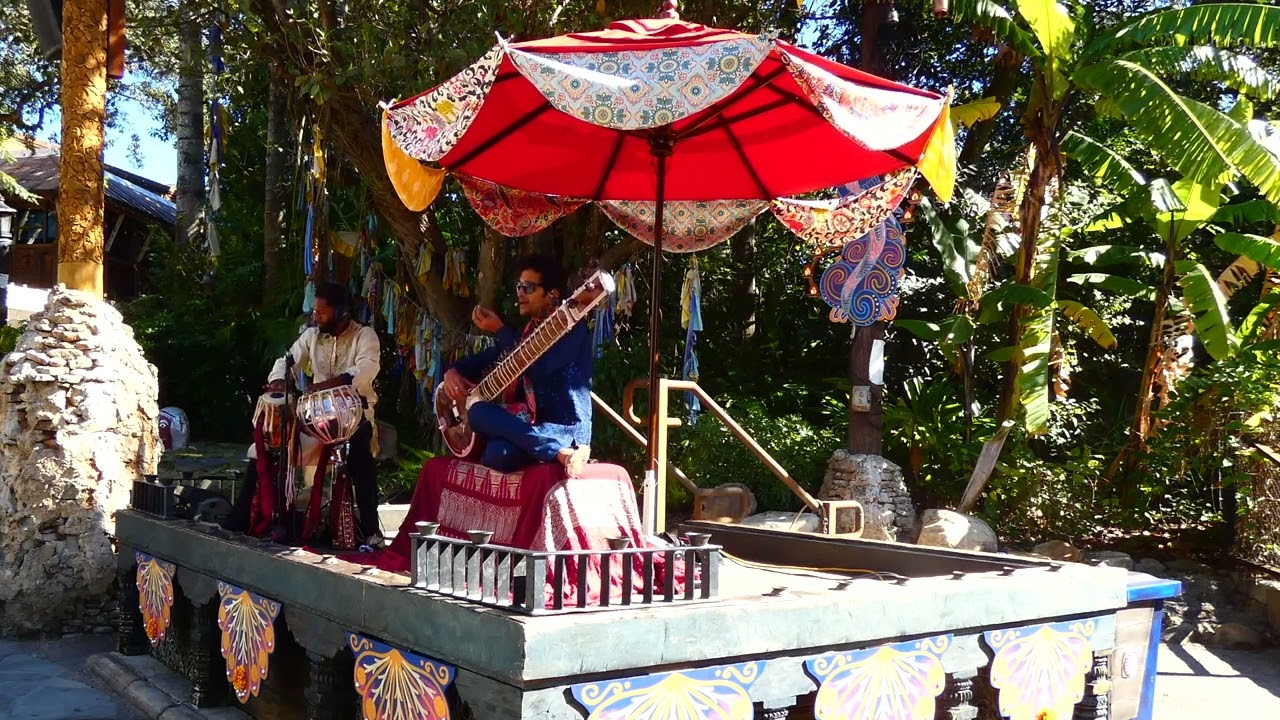 Beats and Strings at Disney's Animal Kingdom