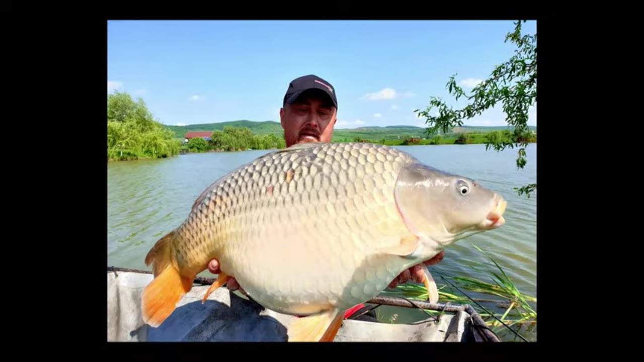 Teste Method Feeder cu noua nada Feederx - ziua 10