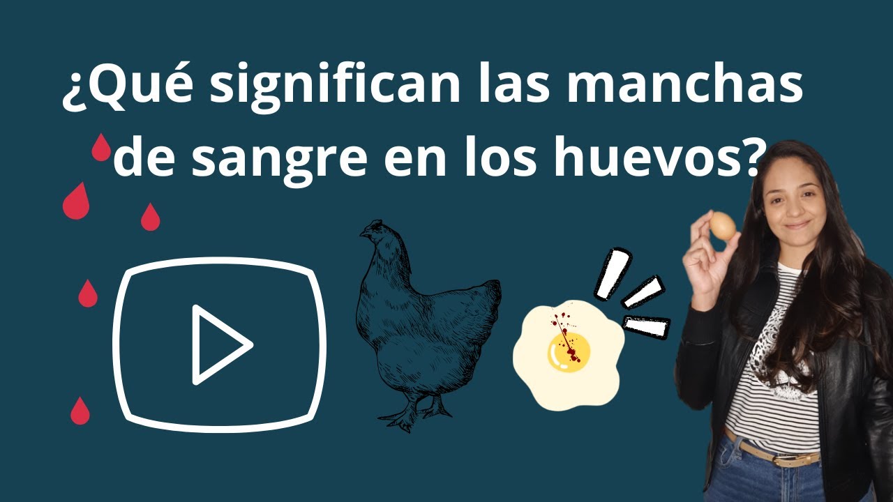 ¿Qué SIGNIFICAN las MANCHAS DE SANGRE en el HUEVO DE LA GALLINA? y ¿las MANCHAS DE CARNE?
