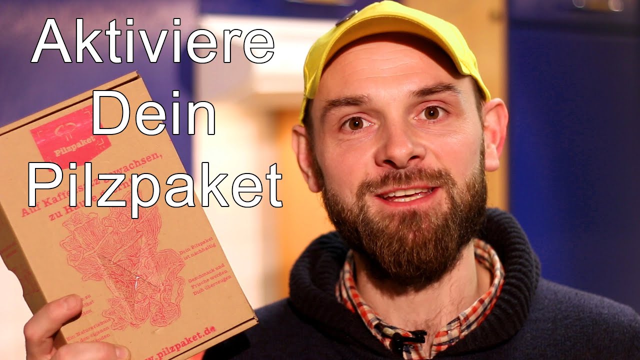 Aktiviere Dein Pilzpaket - z&uuml;chte zuhause selbst Edelpilze auf Kaffeesatz