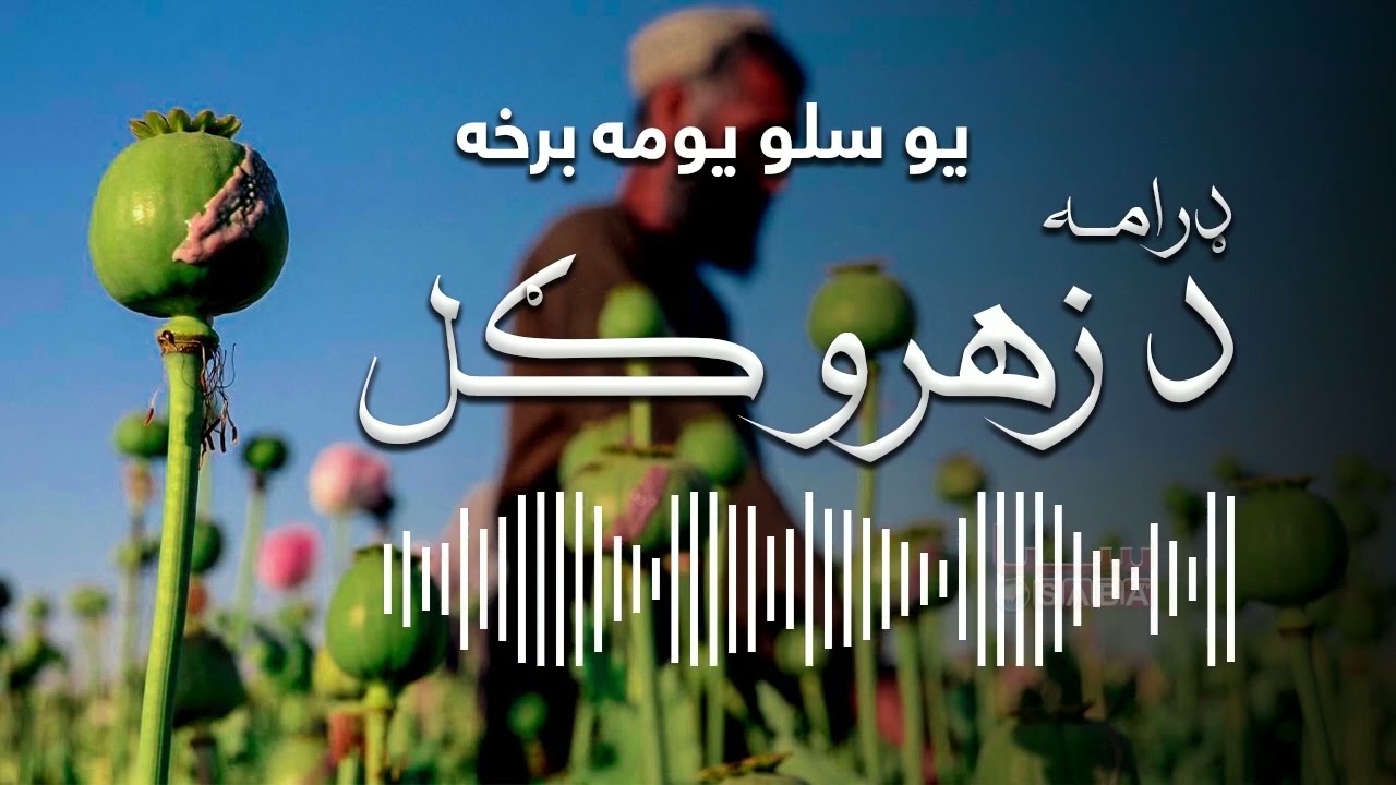 De Zahro Gul - Episode One Hundred One | د زهرو ګل - یو سلو یومه برخه
