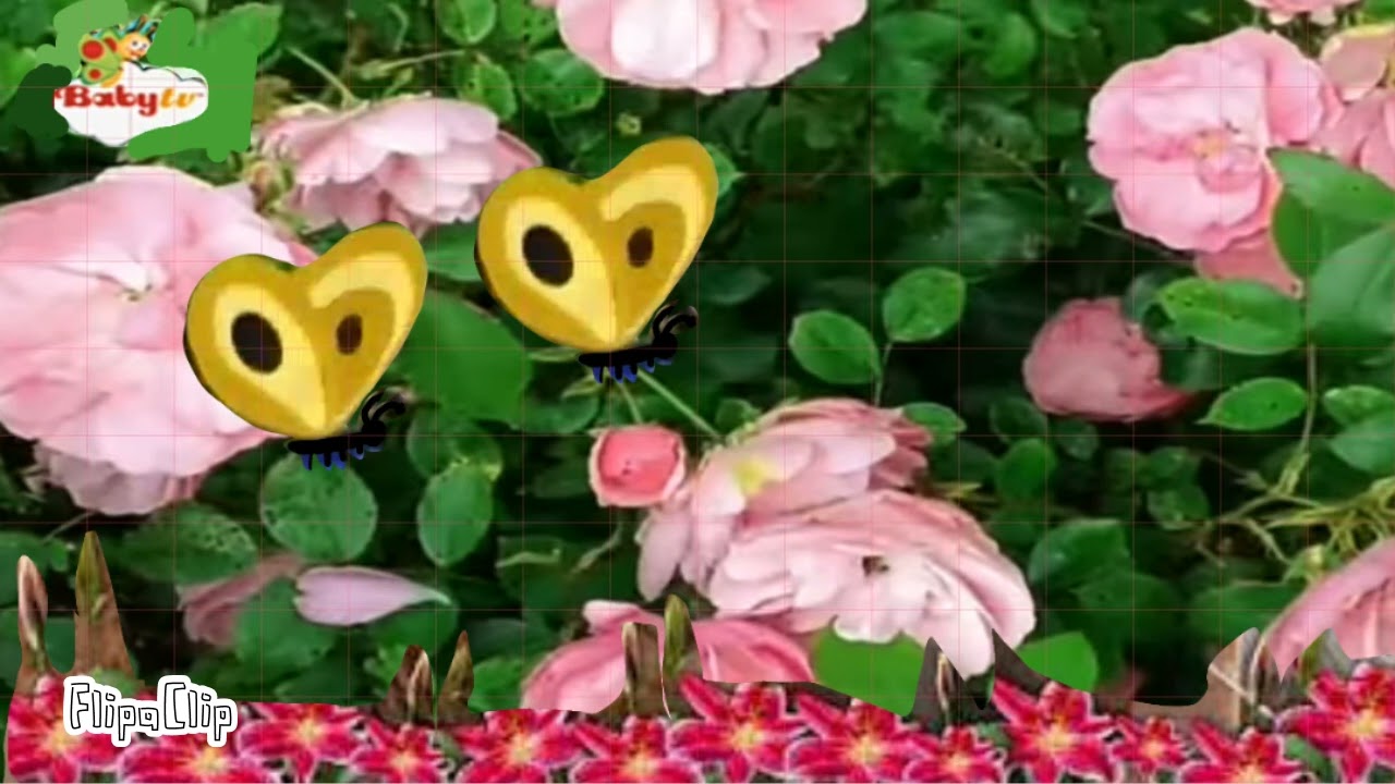 GO ECO BABYTV BEES 🐝