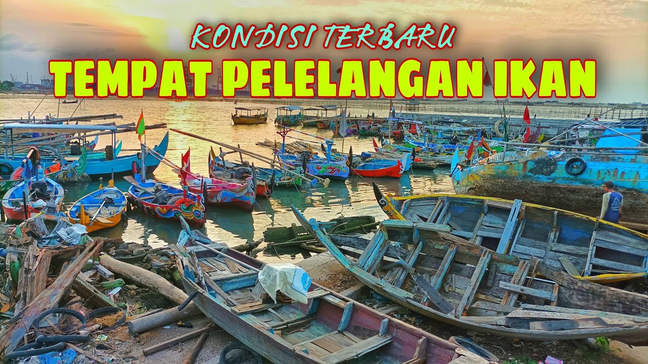 TEMPAT PELELANGAN IKAN Tambak Lorok Semarang - Kampung Bahari Terbaru 2022