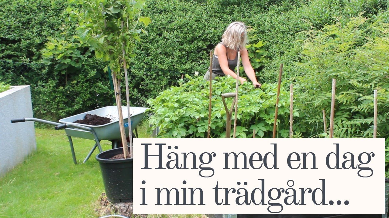 Häng med en dag i min Trädgård! Vlogg - Juni