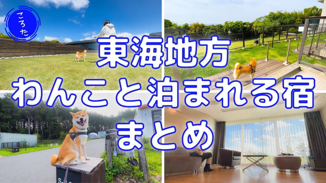 【総集編】東海地方で犬と泊まれる宿4選｜春の旅行やGWにおすすめ！三重・浜松・御殿場・蒲郡【豆柴ころた】