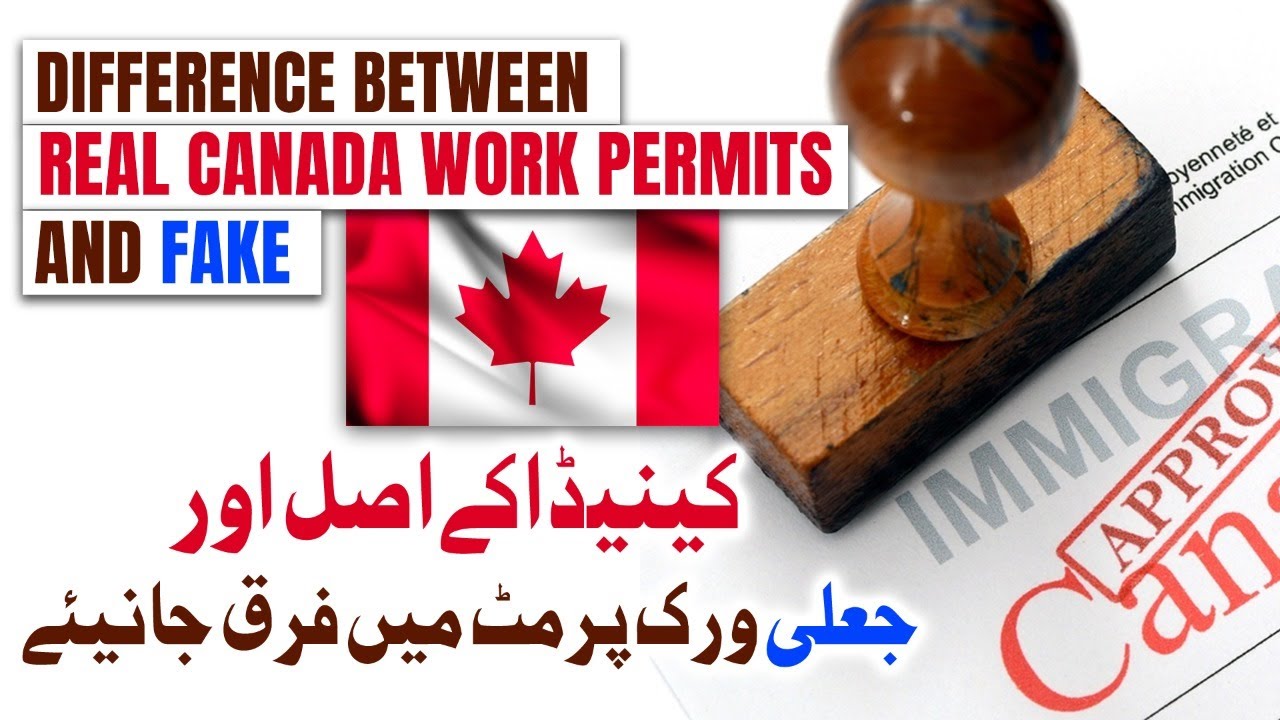 Fake or Real Canada Work Permit|کینیڈا کے اصل اور جعلی ورک پرمٹ ویزا میں فرق جانئے