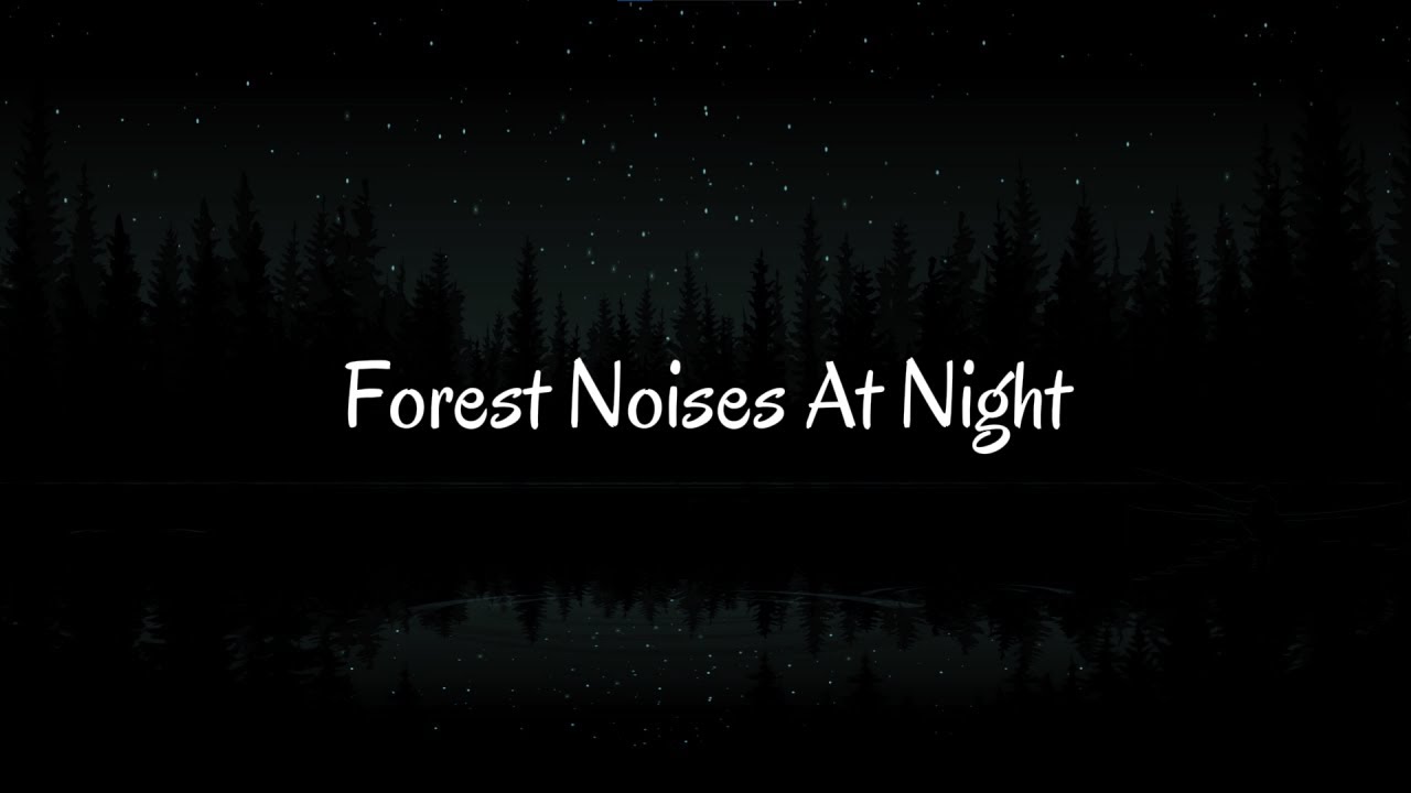 Forest Noises At Night 🌲🌙 | 7 Hours of Calming Nature Sounds for Deep Sleep