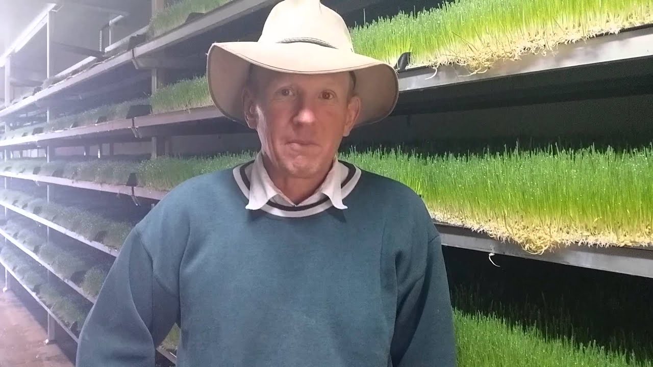 The Fodder Shed at Wallangra NSW -  Your questions answered.