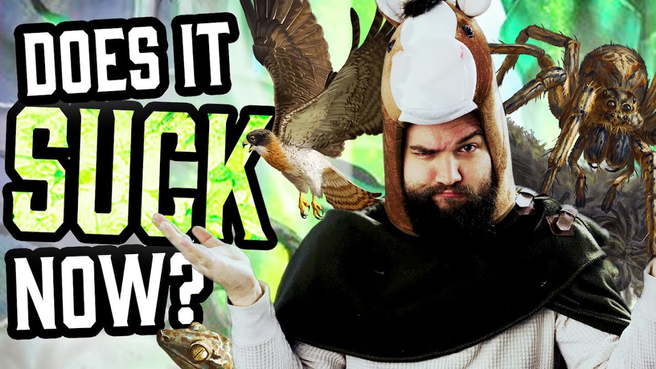 Wild Shapes EVERY Druid Should Learn