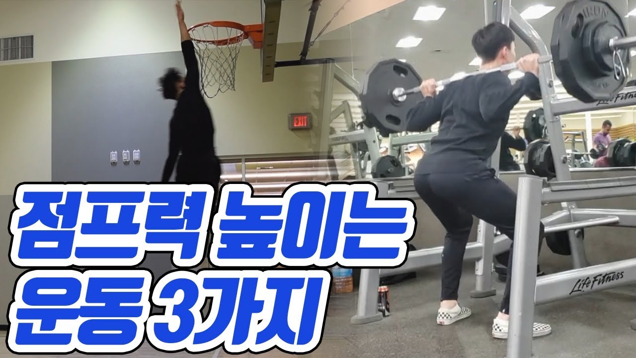 덩크하고 싶은 분들 보세요