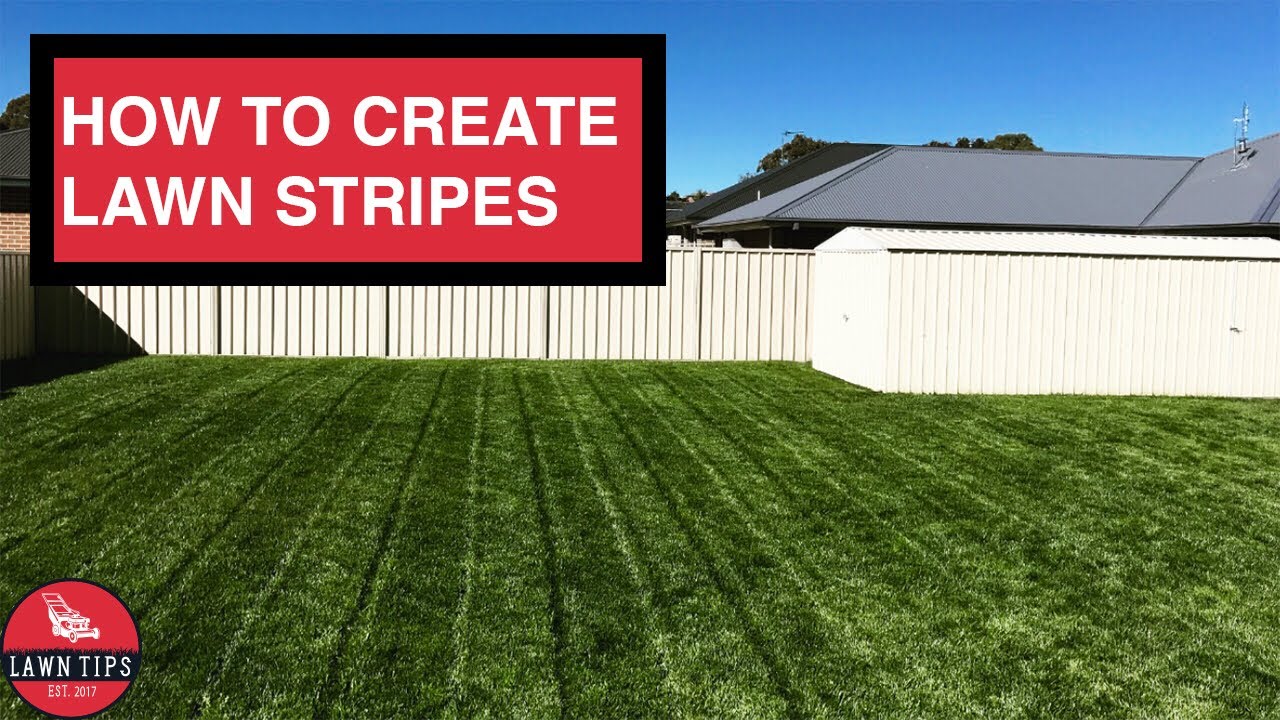Lawn Striping | Stripe Your Lawn Like A Pro