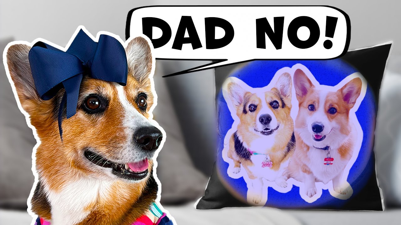 DOG GETS UNEXPECTED GIFT FROM DAD