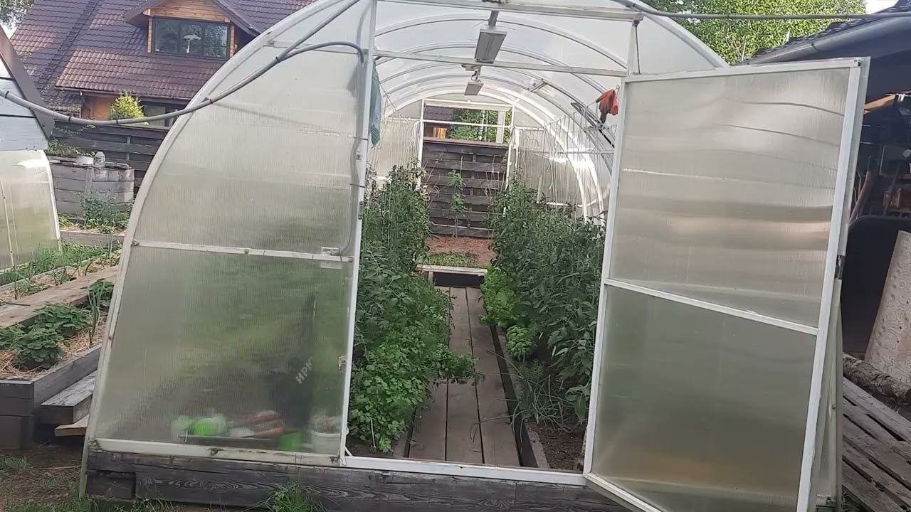 В затенённых теплицах прекрасно всё растёт!