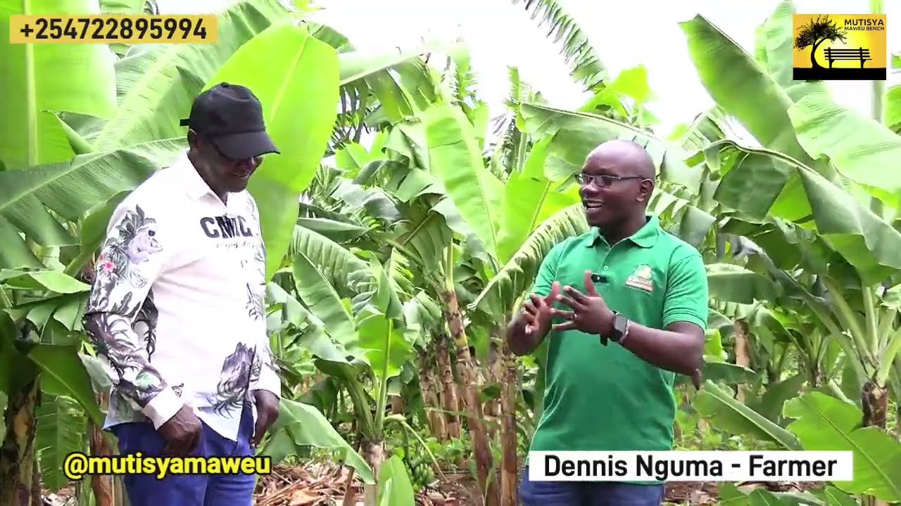 He went into farming straight from campus and today he has a success story!