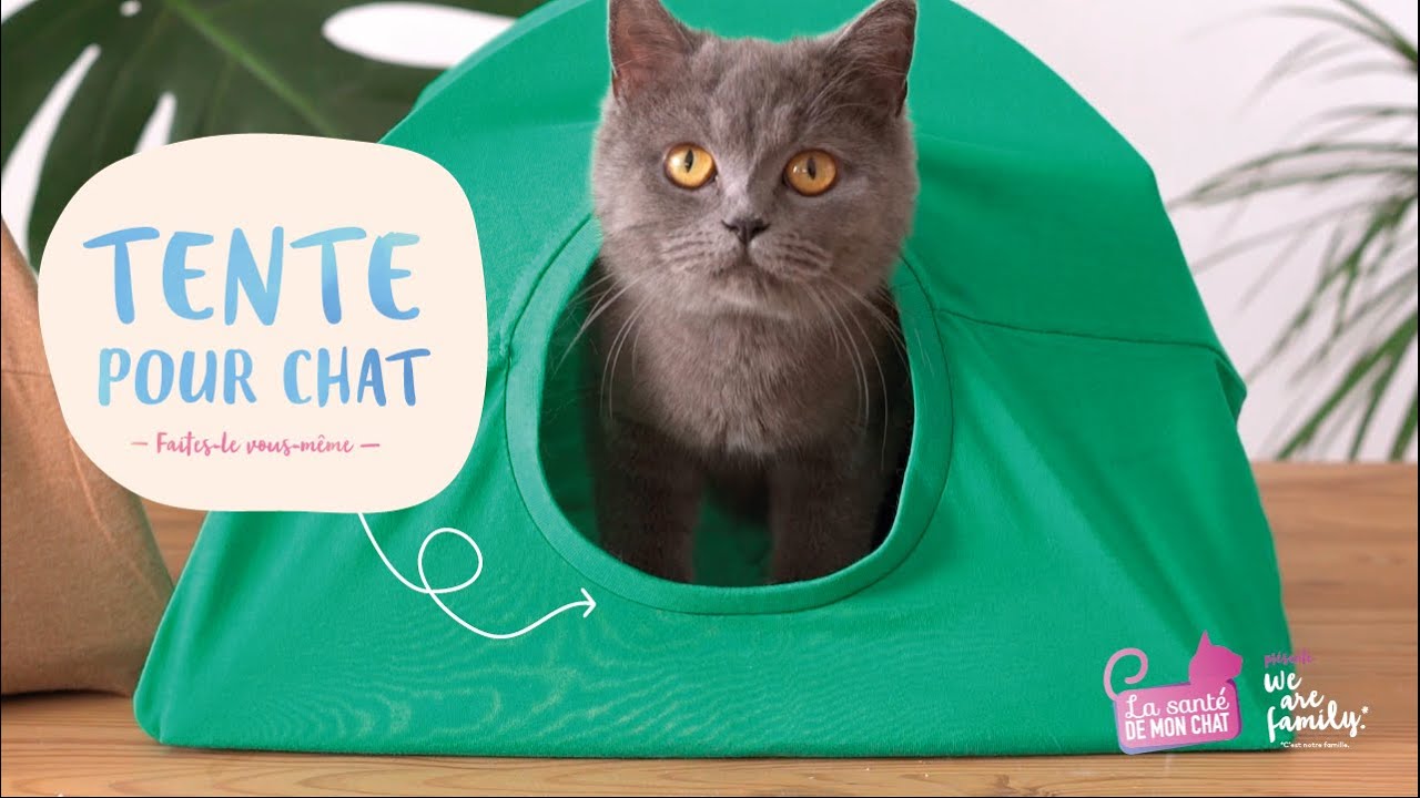 DIY - Je fabrique une tente pour mon chat