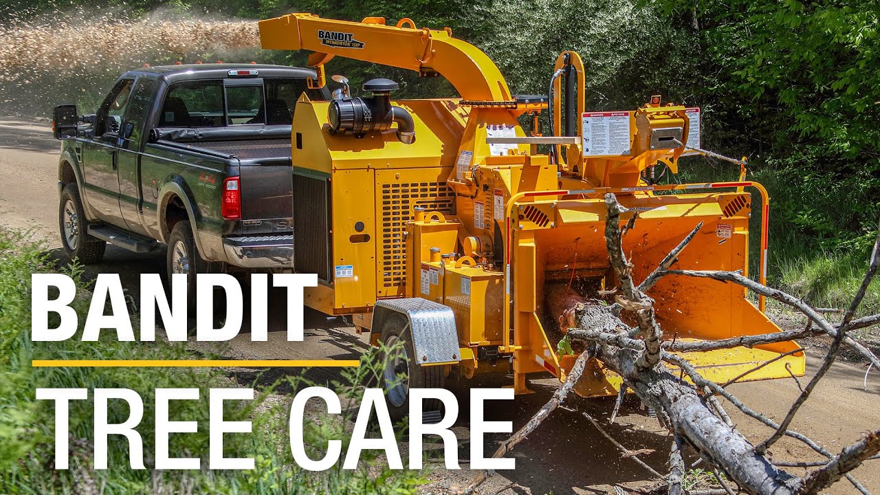 BANDIT'S Full Tree Care Lineup!