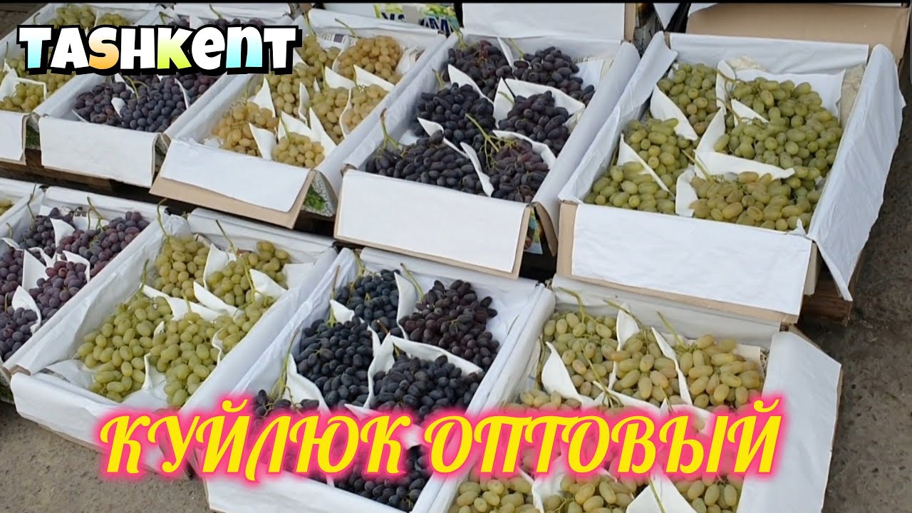 Uzbekistan Tashkent Оптовый Куйлюк базар