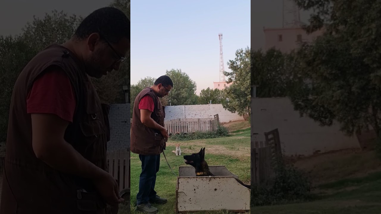 Positions 🐾#Garwy #جروي